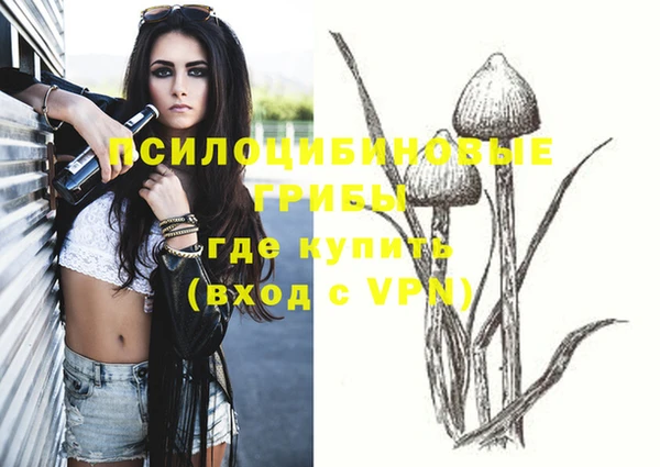 PSILOCYBIN Алексин