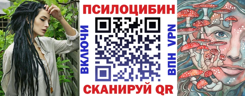 Галлюциногенные грибы Psilocybe  Тосно 