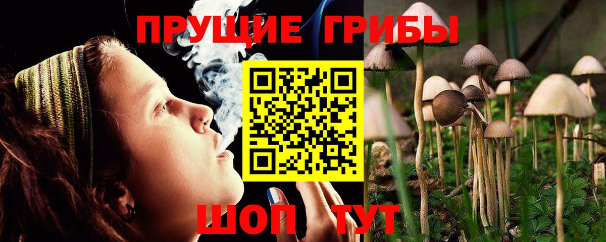 Галлюциногенные грибы прущие грибы  Вход с VPN  Тосно 